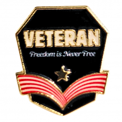 Grange Veterans Pin